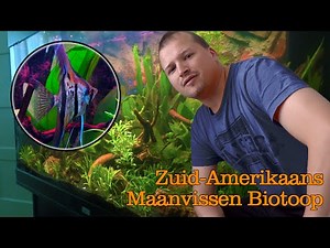 Maanvissen biotoop aquarium inrichten