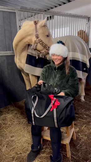 Izabella Svärd on Instagram: "🎅🏼✨ Betalt samarbete med @hooksofficial ✨🎁 Just nu får ni 40% rabatt med koden IZABELLA40😍✨ Ni får inte missa Hööks julkalender i år – så himla fina grejer i! 😍 Här får ni en liten teaser på tre produkter (både jag och hästarna har dem på oss 👀). 👉 Spana in julkalendern via länken i min story och passa på innan den tar slut! #hooksofficial #hööks #hooks #horse #häst #equestrian #riding #horseofinstagram #dressage #caballo #julkalender"