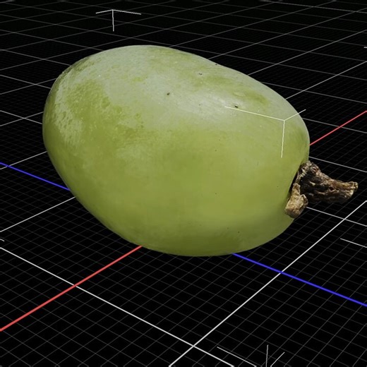 A Grape. 90 stacks, 74 photos each, 0.43M splats. #3dgs