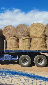 Vanaand sê ek dankie vir niemand behalwe vir ONS GOD EN HEMELSE VADER NIE!!!🚜🌾🤍✝️ 3 Links afgelaai en weg gery in 'n kwessie van 4ure aan Boere in NOOD...180 Bale het vandag LEWE gegee..... HERE....DANKIE!!! Dankie dat U die regte mense op die regte tyd gestuur het. Dankie dat U die BESTE VAN DIE BESTE GESTUUR HET om te help...Dankie HERE dat U ons Boere raak gesien het in nood. Dankie HERE dat U ONS GOD IS....🇿🇦✝️🧎🏻‍♂️ EK LOOF PRYS EN GEE U AL DIE EER!!!!!!! Dankie HERE. | Werner Heyns