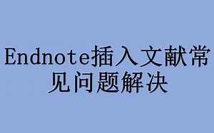 endnote文献插入word常见问题