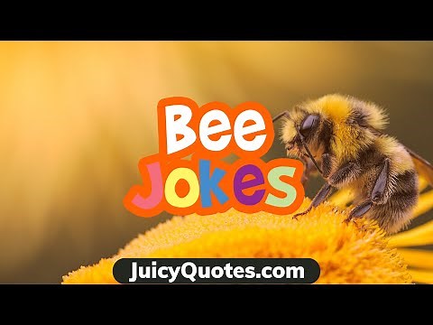 Silly Bee Jokes and Puns - Get Some Laughter In Life