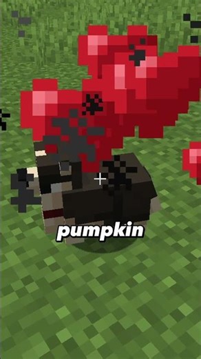 The BEST Minecraft Mod for New Creatures