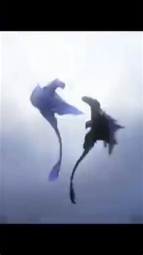 toothless and light fury part 2