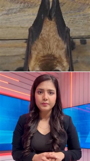 Isha Negi on Instagram: "Nipah Virus Symptoms ‼️ #trendingreels #viralvideo #trendingshorts #reelsinstagram #trending #viralreels #shorts #viralvideos #trendingnow"