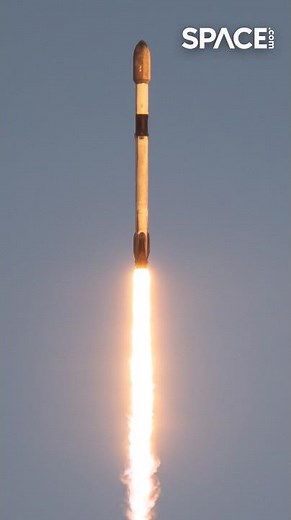 SpaceX launches classified Space Force mission 🚀 Sept. 26 #spacex #spaceforce #launch #shorts