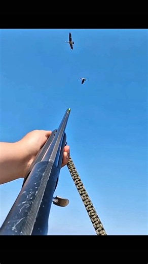 Precision + timing = perfect duck hunt! 🎯🦆 Don’t blink or you’ll miss it!#HuntingVideo #DuckShot
