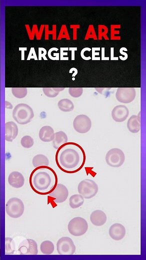 What are Target cells ? | Clear Explain