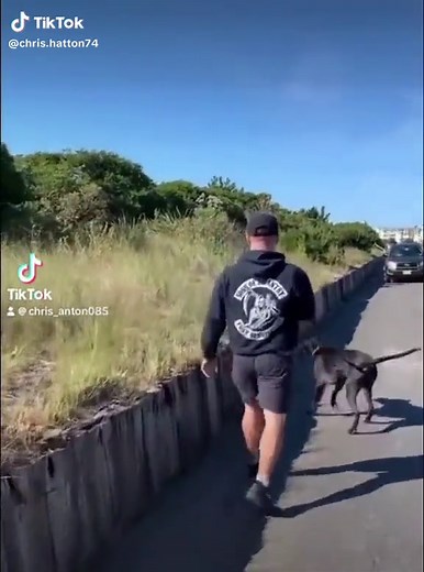 Chris Hatton (@chris.hatton74)’s videos with original sound - Chris Hatton