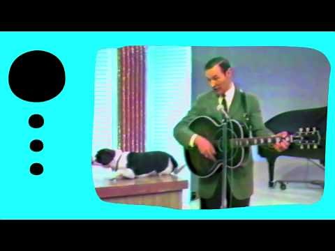 TRIPOD THE THREE LEGGED DOG