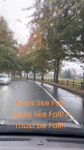 Whatcom County Weather on Reels