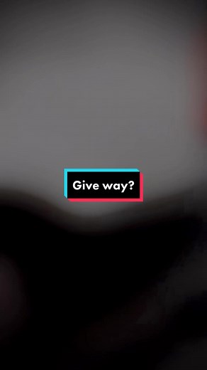 What is it like crossing the road with your ears? #guidedog #servicedog