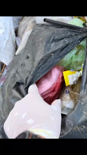 How to Restore Found Phones: Recover Data from Phones Found in Trash