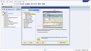 How to customize the SAP Local Layout - SAP Basics Video