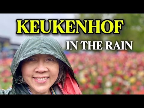 Keukenhof Gardens in the rain 🌷Tulips in the Netherlands