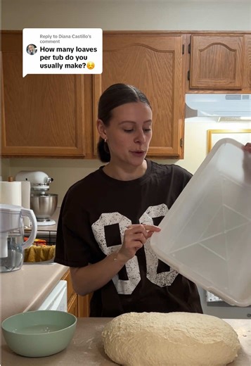 Perfect Bins for Proofing Sourdough