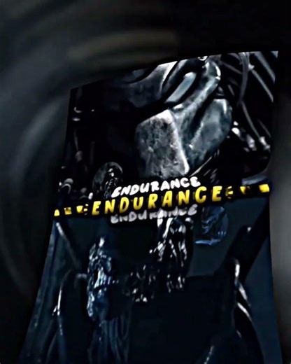 predator scar vs Xenomorph