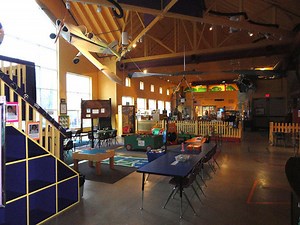 Woodland Walk; Stargazing; and Unique Collections: Avon Lake Library Events