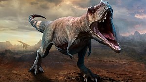 'Bold theory' that Tyrannosaurus rex is 3 species gets stomped to pieces