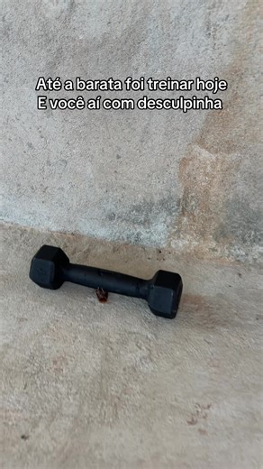 Os vídeos de Tia Catia Carla (@catia_carla) com som original - PISEIRO OFICIAL