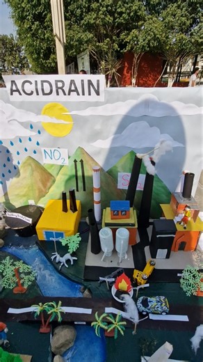 ACID RAIN model #schoolproject #sciencemodel