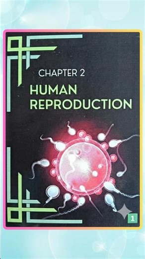 Human Reproduction Class 12th Flashcards Short Notes ✨💫 || NEET | CUET | CBSE