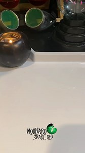 257K views · 7.6K reactions | What's Inside The Egg? #Reels #animals #snake #egg #reptiles #biology | The Molinaro Snake Lab | Facebook