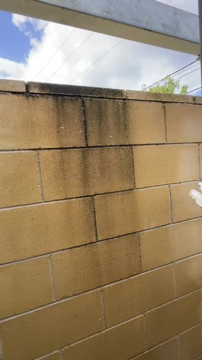 Soft Washing: The Safe Surface Cleaning Method