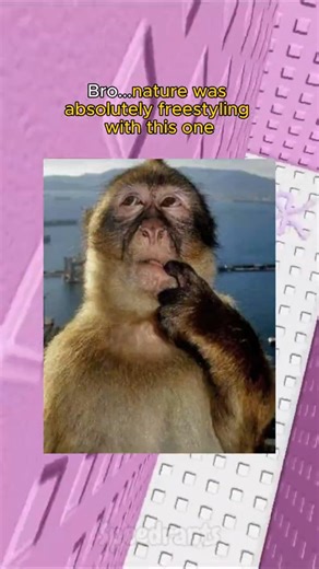 The Only Male That Gets Pregnant 😭🙏#roblox #robloxrant #rblx #relatable #speedrants