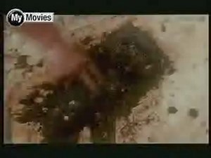 Crocodile Hunter: Collision Course - clip 5