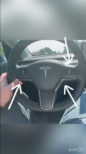 Dealing with tesla FSD nag