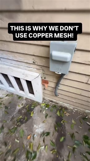 Can rats & mice chew through copper mesh? Comment “MESH” & we’ll DM it to you! | Rodent Stoppers