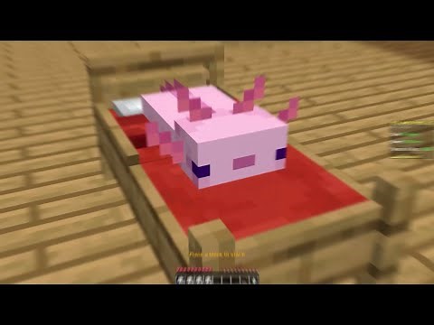 The BEST Minecraft Overlays! [16x /1.8.9] (PVP + FPS BOOST)