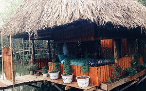 Cánh Đồng Hoa - Springfield Cottage - Khu Nghỉ Dưỡng Sinh Thái ở Huyện Bình Chánh, TP. HCM