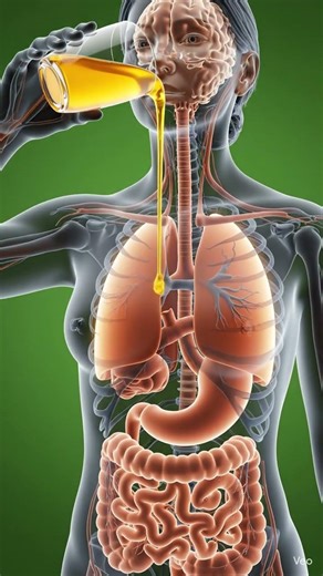 How Honey Affects Your Body 🍯 | 3D Medical Animation Inside Human Body#Honey #3DAnimation