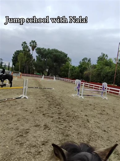 Jump School Adventures with Nala