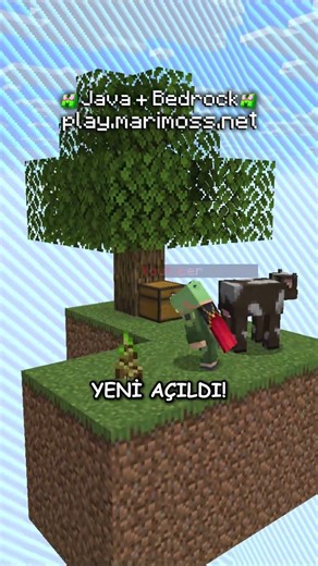 Are you looking for a Minecraft server for a long time?