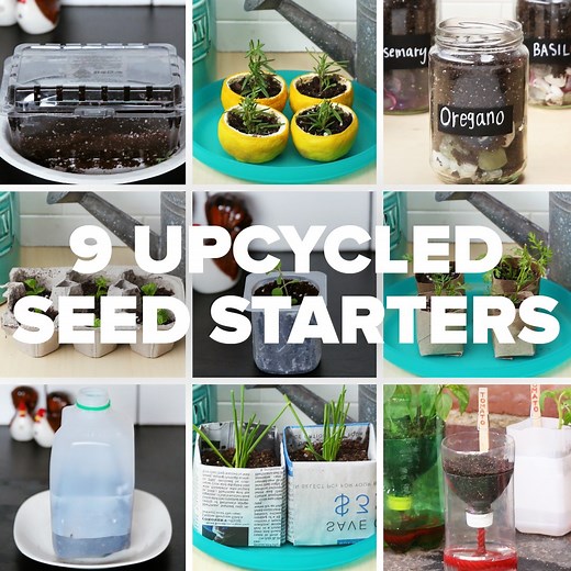 Here are 9 items you can upcycle into seed starters for your own garden 🌱! | Goodful