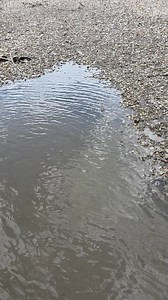Is this a fossil bone tool or just an eroded bone fragment? Found in am Iowa river. #fossilhunting #artifacts | Bison Bison Paleo Fossils