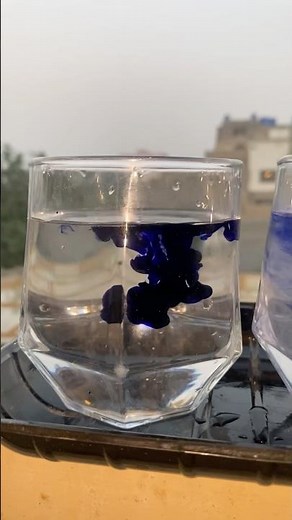 Science Experiment With Salt Water & Norma Water