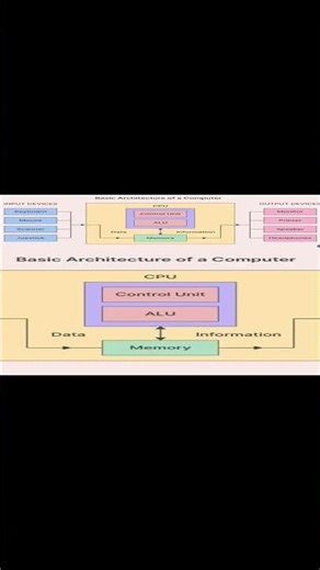 Hardware vs Software