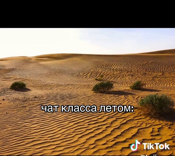 Летний чат класса: Забавные моменты и мемы