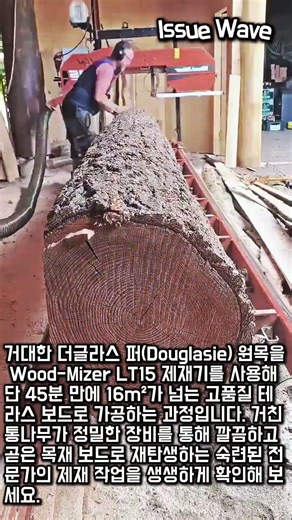 Wood-Mizer LT15 제재기로 더글라스 퍼 원목 가공하기 #worker #process #sawmill #timber #carpentry