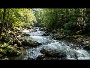 Nature Escape: Flowing River & Birds Chirping 🌿 Relaxing Sounds for Sleep & Stress Relief