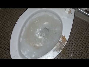 340. American Standard Madera Toilet