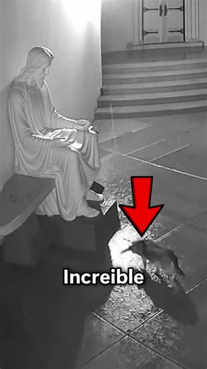 El Perrito que Encontró Refugio a los Pies de Jesús