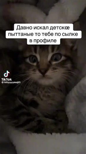 Детское питание — это специализированные пищевые продукты, предназначенные для удовлетворения физиологических потребностей детского организма на разных этапах его развития. Они должны соответствовать возрастным особенностям, обеспечивать эффективную усвояемость и не причинять вред здоровью ребёнка. #детское #питание