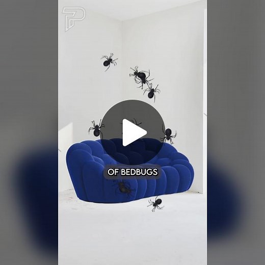 The backstory of the BLUE COUCH revealed! 😳 Follow @Pubity for more #Pubity host: @Austyn Crispell