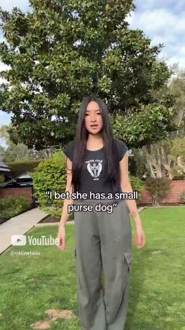 Doberman Draco Proudly Shows Off His Skills