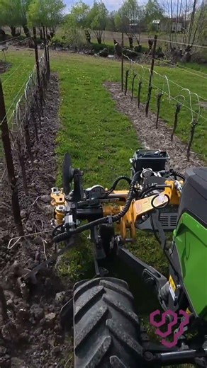 Dondi VItis 2 Pro